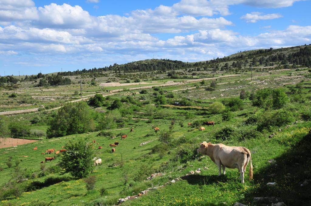 Casa Rural El Boixar - El Mirador Bojar Buitenkant foto