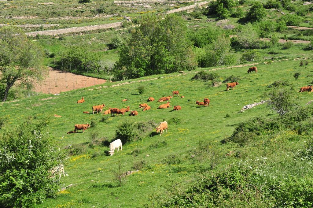 Casa Rural El Boixar - El Mirador Bojar Buitenkant foto